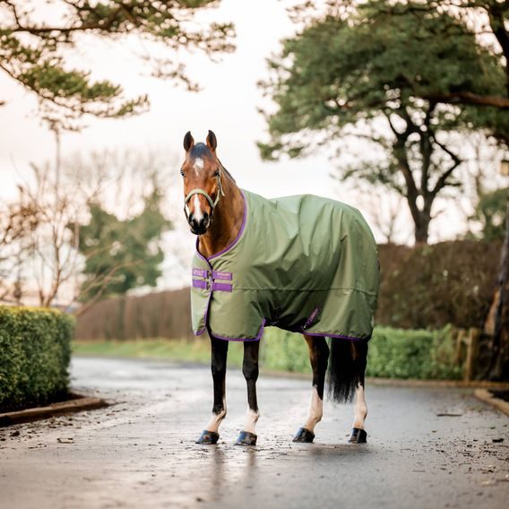 Deka výběhová Horseware Amigo Hero Ripstop 50g KOLEKCE