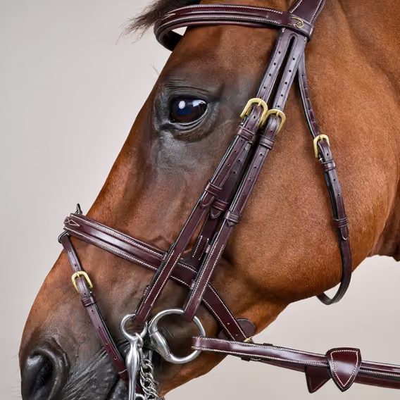 Uzda Dy'on Flash Noseband Double DYLAAA