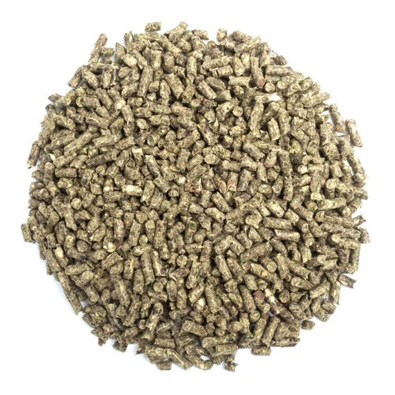 *EQS* granule bezobilné 20 kg AKČNÍ CENA