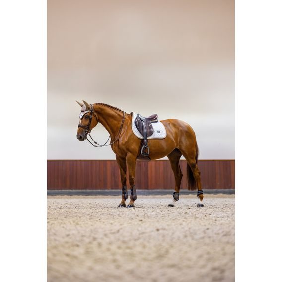 Podsedlová dečka Equestrian Stockholm Modern White Sand Kolekce 2026