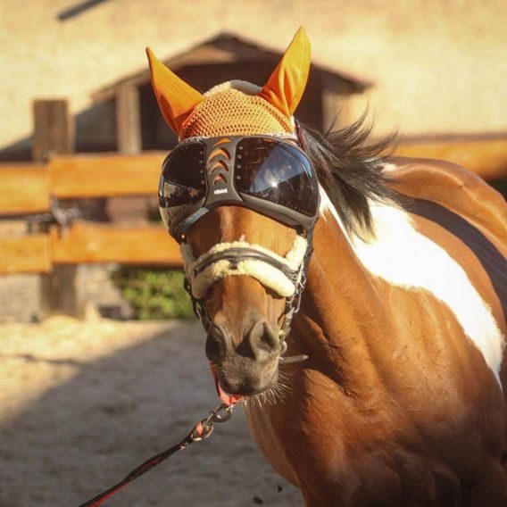 Ochrana očí Equick eVysor