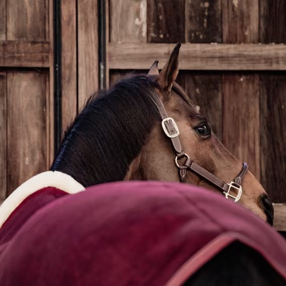 Deka Kentucky fleece Show rug Heavy