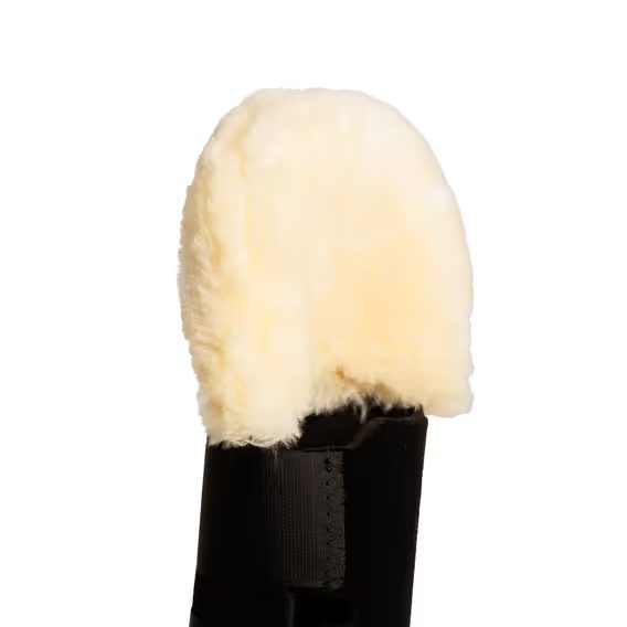 Transportní ochrana ocasu Kentucky s beránkem