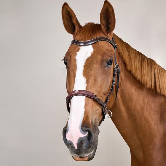 Uzdečka Dy'on Bitless WO