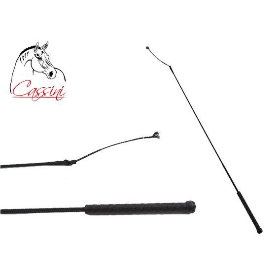 Bičík Cassini standard