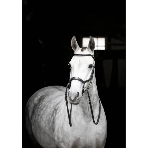 Uzdečka Horseware Micklem Bitless