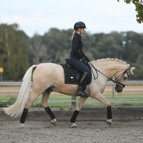 Podsedlová dečka Equestrian Stockholm Black Gold KOLEKCE 2023