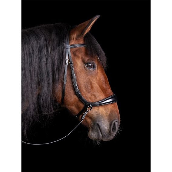 Uzdečka Schockemöhle Equitus Theta anatomická DOPRODEJ