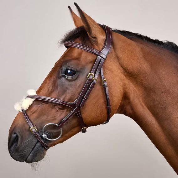 Uzdečka Dy'on Figure 8 Noseband Bridle DYAAAC