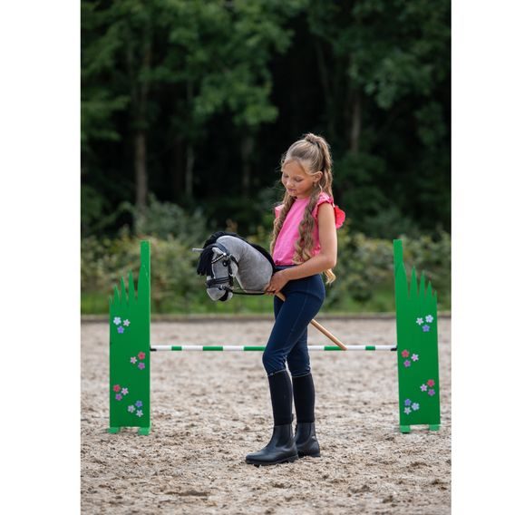 Hobby Horse QHP