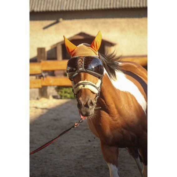 Ochrana očí Equick eVysor