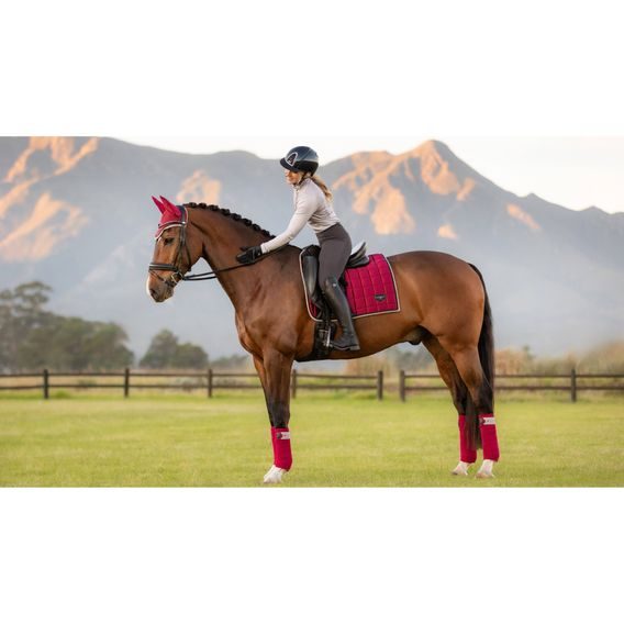 Podsedlová dečka LeMieux Loire Satin Classic Ember Kolekce 2024/25