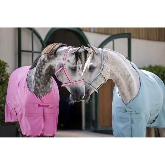 Deka lehká Bucas Freedom Twill sheet stájová Kolekce 2026