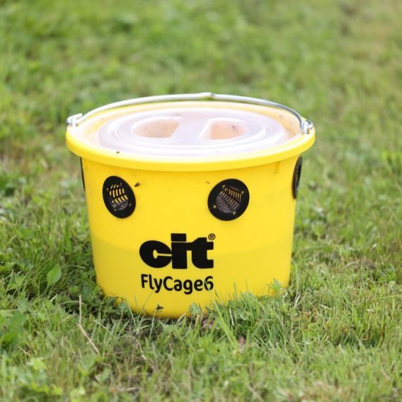 Lapač hmyzu včetně návnady Kerbl Cit Flycage 6