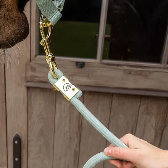 Vodítko Kentucky Basic s klasickou karabinou 2m