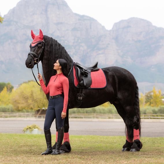 Podsedlová dečka LeMieux Suede Square Cranberry Kolekce 2025/26