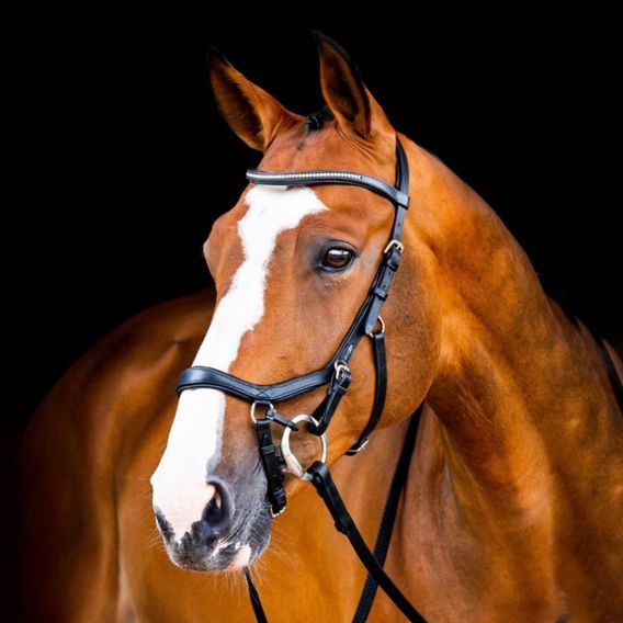 Uzdečka Horseware Micklem 2 Diamante Competition