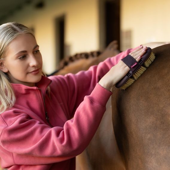 Kartáč rýžový LeMieux Flexi Scrubbing Kolekce 2025/26