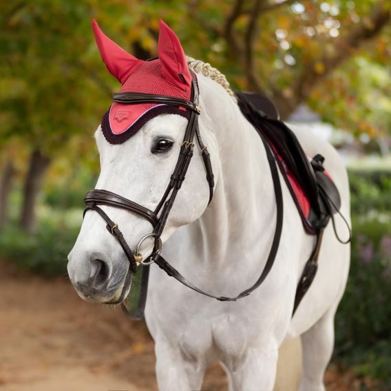 Čabraka na uši LeMieux Loire Satin Cranberry Kolekce 2025/26