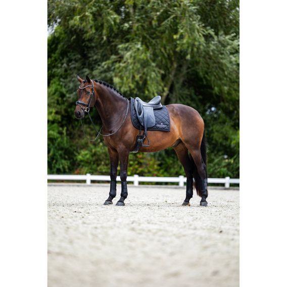 Podsedlová dečka Equestrian Stockholm Line Black Kolekce 2026