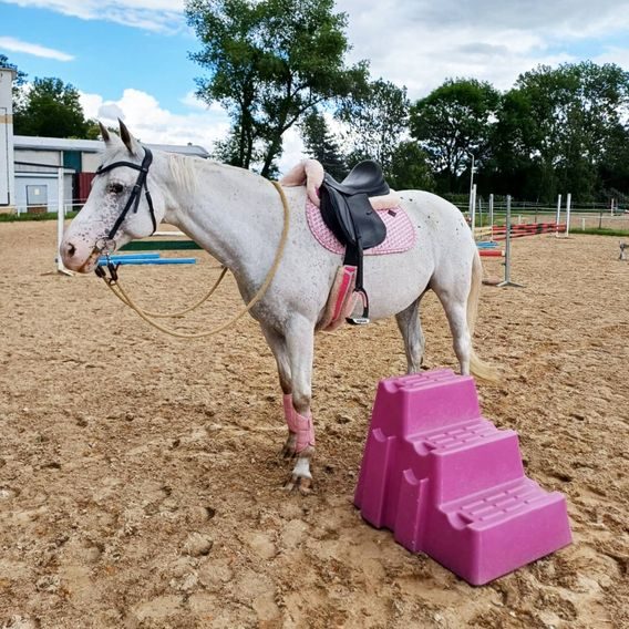 Mobilní plastové schůdky ROTO Mounting Step