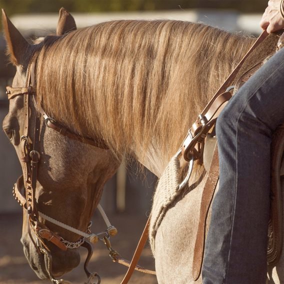 *W* Uzdečka westernová Martin Saddlery Rope Copper Dots