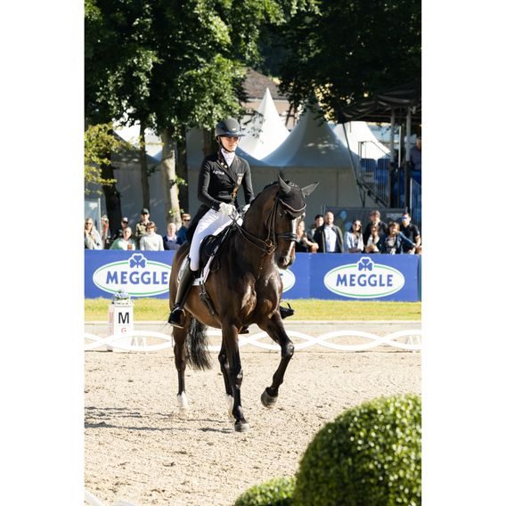 Rajtky Pikeur Laure SD Full Grip dámské KOLEKCE