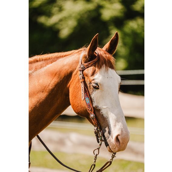 *W* Uzdečka a poprsník Cassini Lucky