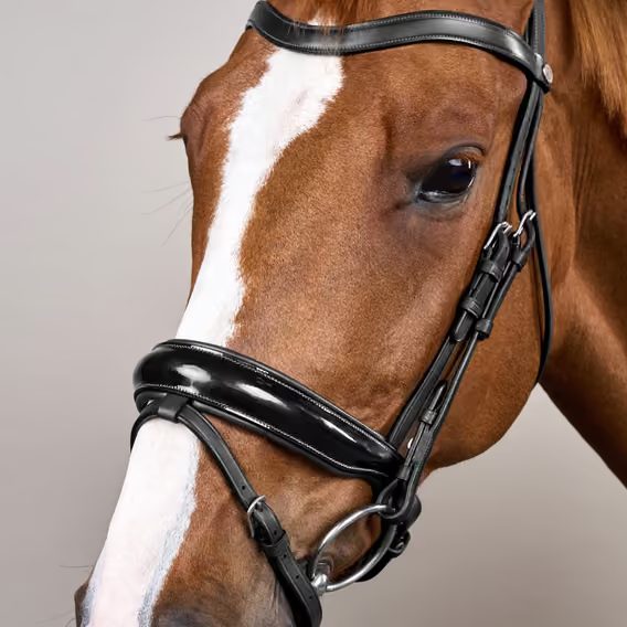 Uzdečka Dy'on Patent Large Crank Noseband Bridle With Flash WODCAN