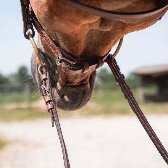 Otěže CWD RE04C Contact pogumované