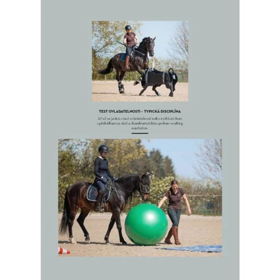 Publ Wittmann Working Equitation