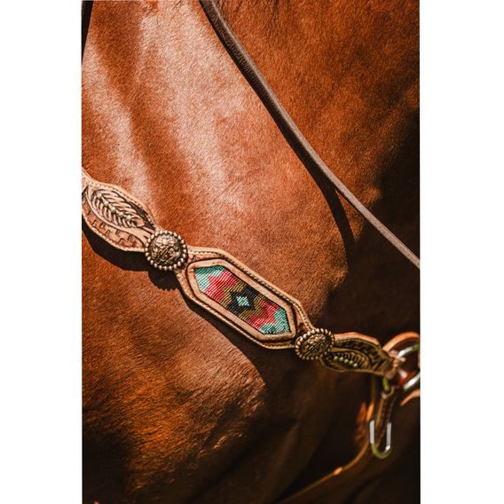 *W* Uzdečka a poprsník Cassini Ingi