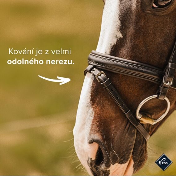 Uzdečka Equiservis Anatomická anglický nánosník