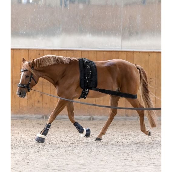 Body bandage na lonžování W