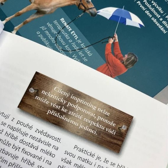 Publ Ettl Výchova hříběte - od narození do tří let