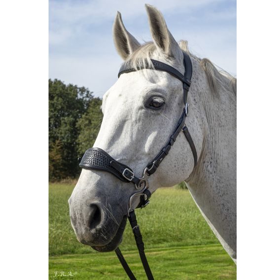 Uzdečka s hackamore F.R.A. Fiore