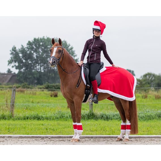 Deka bederní QHP Christmas uni červená