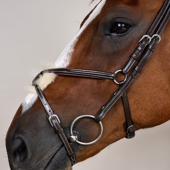 Uzdečka Dy'on Figure 8 Noseband Bridle WOAQHC