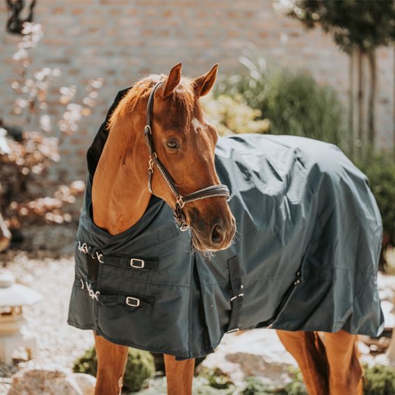 Deka lehká výběhová Euroriding KODIAK1200D High Neck 50g
