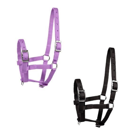 Ohlávka hříběcí nastavitelná Horze