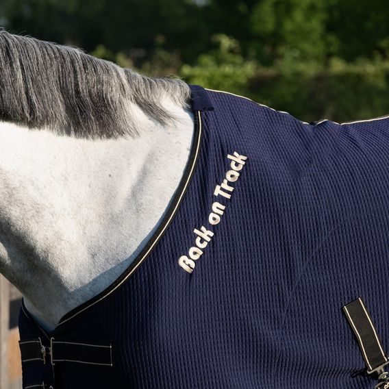 Deka Back on Track Quick Cooler 2144