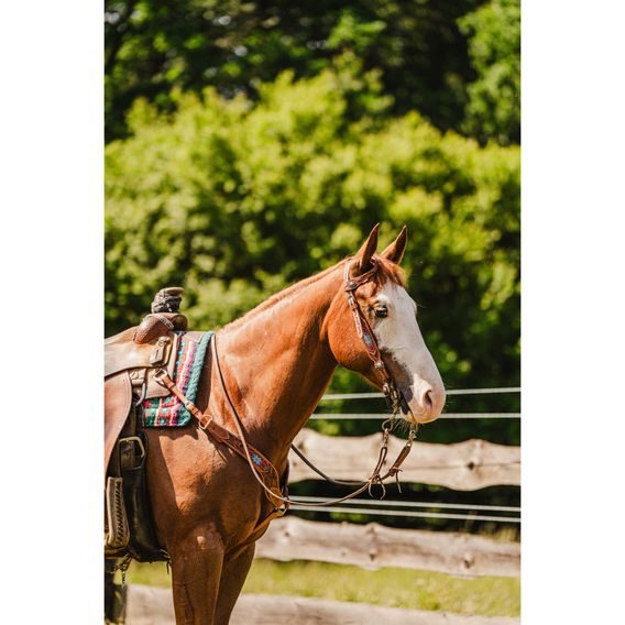 *W* Uzdečka a poprsník Cassini Lucky