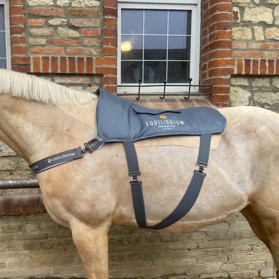 Masážní deka Equilibrium Therapy NEW Massage Pad