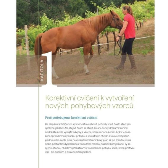 Publ Ballou Korektivní cvičení pro koně