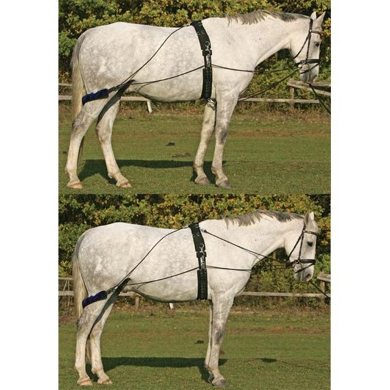 Lonžovací postroj PES ECO