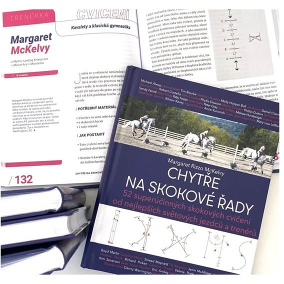 Publ Rizzo Mckelvy Chytře na skokové řady