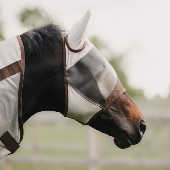 Maska na hlavu Kentucky Classic II