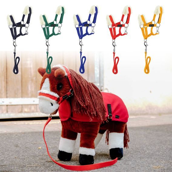 Ohlávka s vodítkem Pony Academy