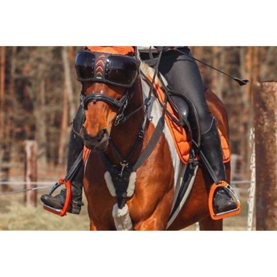 Ochrana očí Equick eVysor