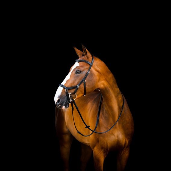 Uzdečka Horseware Micklem 2 Deluxe Competiton